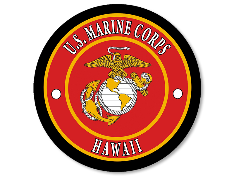 4" marsoc raiders skulls and stars seal decal sticker marines logo 